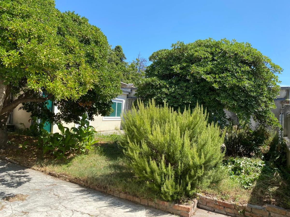Ferienwohnung Zadar-City Esterno foto